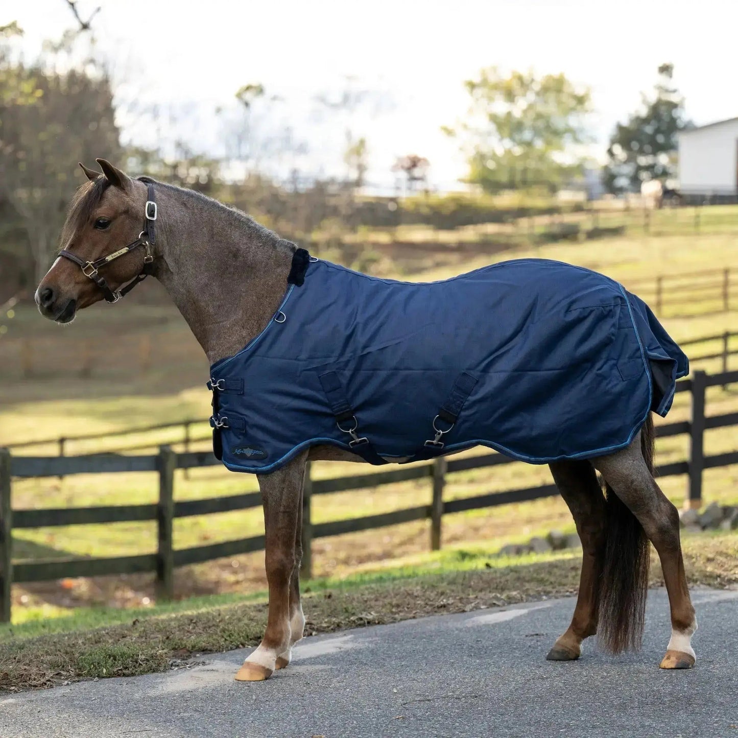 Pony Heavyweight 300g Horse Winter Turnout Blanket - Waterproof & Breathable - Riders Choice Supply Co