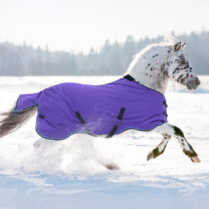 Pony Heavyweight 300g Horse Winter Turnout Blanket - Waterproof & Breathable - Riders Choice Supply Co