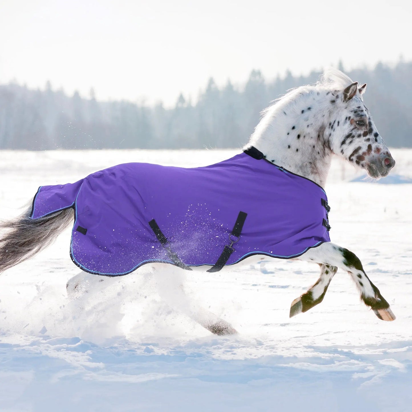 Pony Midweight 180g Horse Winter Turnout Blanket - Waterproof & Breathable - Riders Choice Supply Co