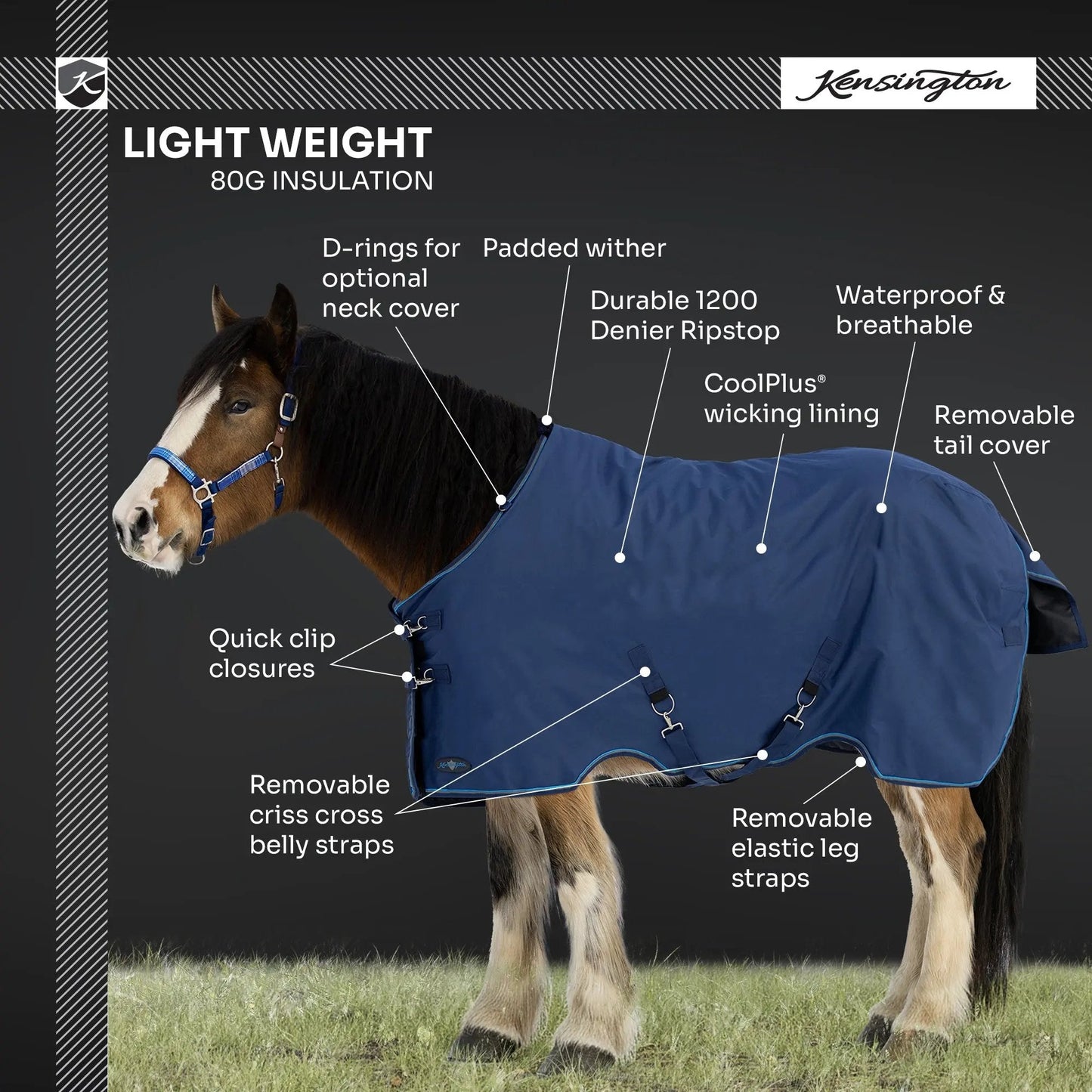 Draft Horse Lightweight 80g Winter Turnout Blanket - Waterproof & Breathable - Riders Choice Supply Co