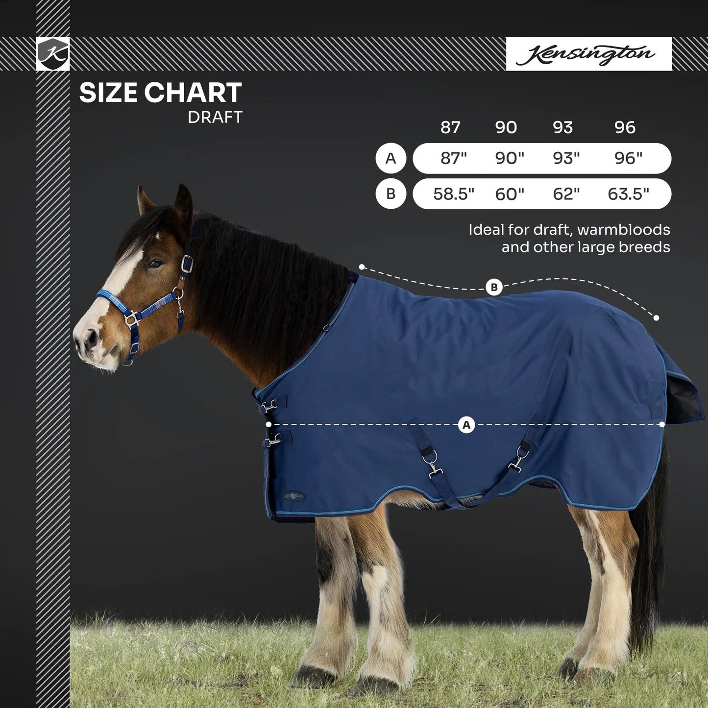 Draft Horse Lightweight 80g Winter Turnout Blanket - Waterproof & Breathable - Riders Choice Supply Co