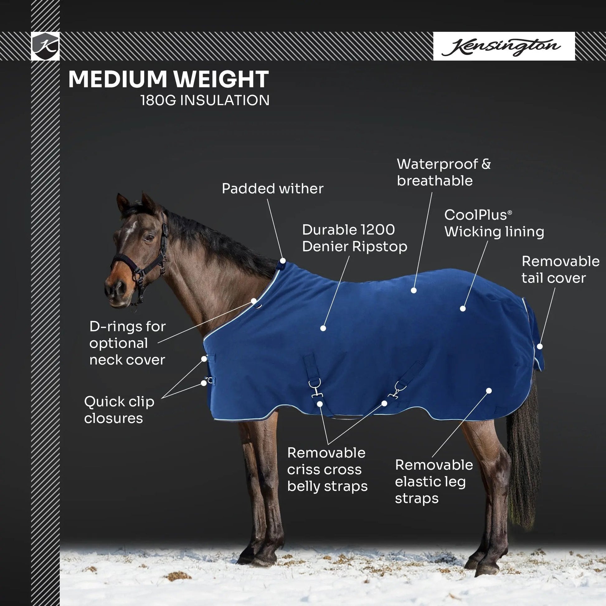 Pony Midweight 180g Horse Winter Turnout Blanket - Waterproof & Breathable - Riders Choice Supply Co