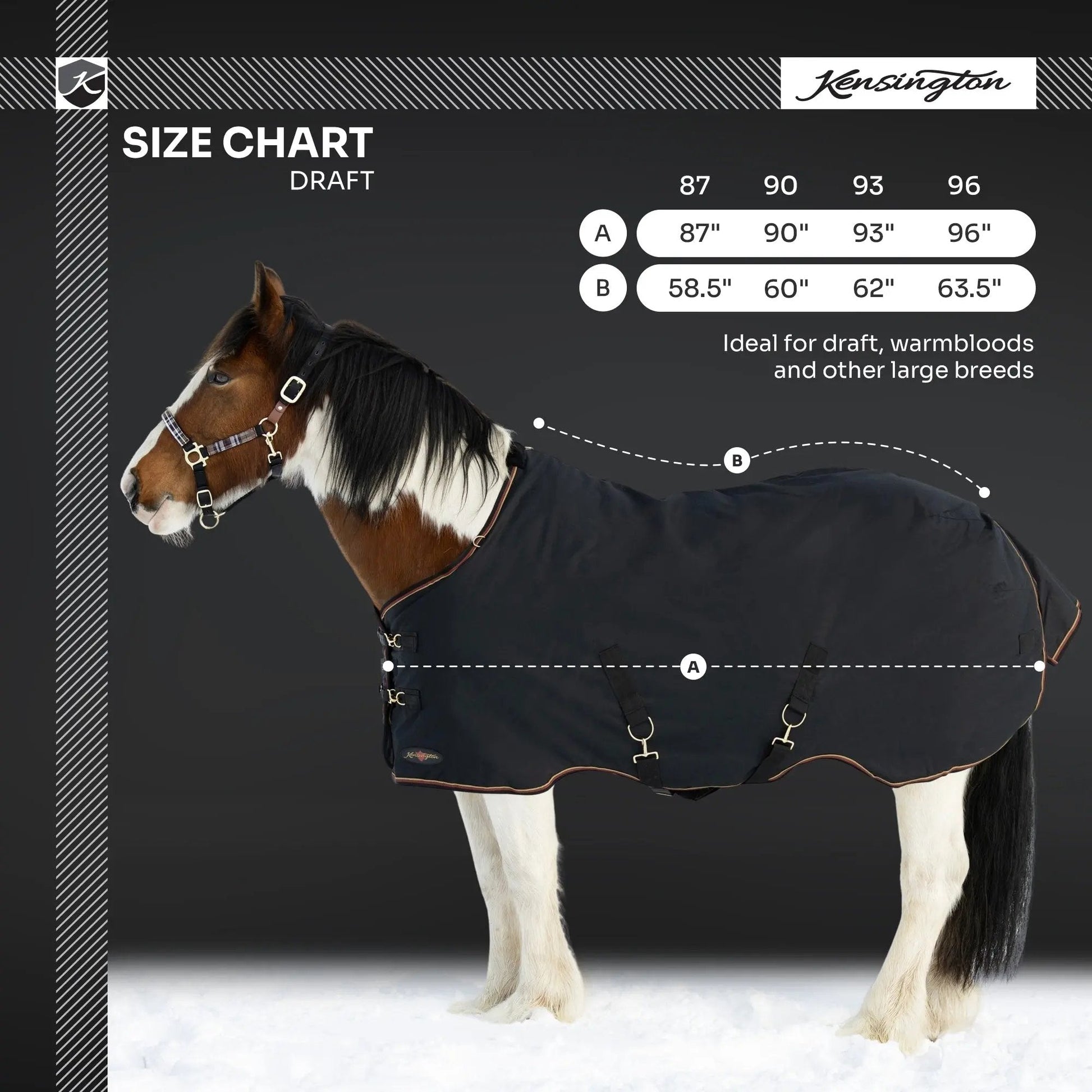 Draft Horse Heavyweight 300g Winter Turnout Blanket - Waterproof & Breathable - Riders Choice Supply Co