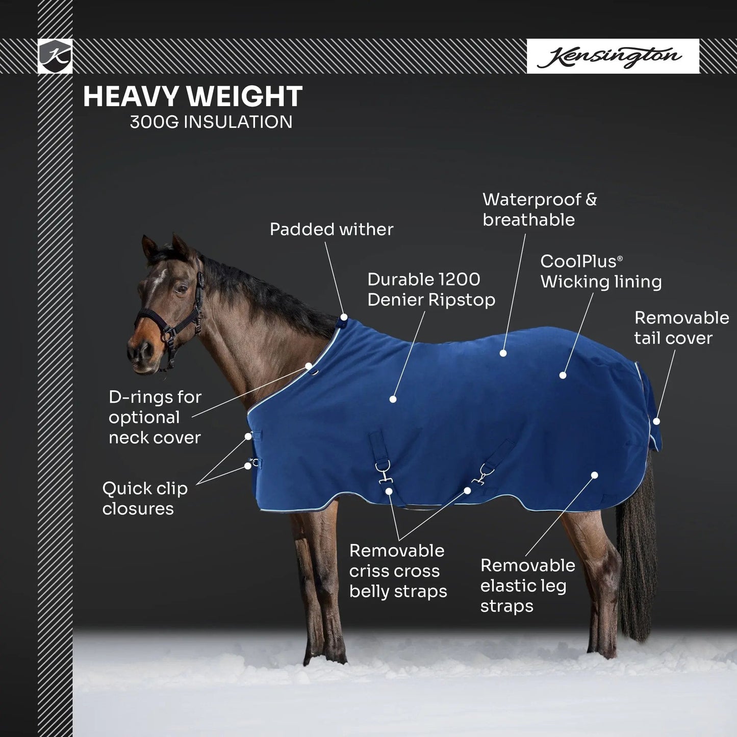 Pony Heavyweight 300g Horse Winter Turnout Blanket - Waterproof & Breathable - Riders Choice Supply Co