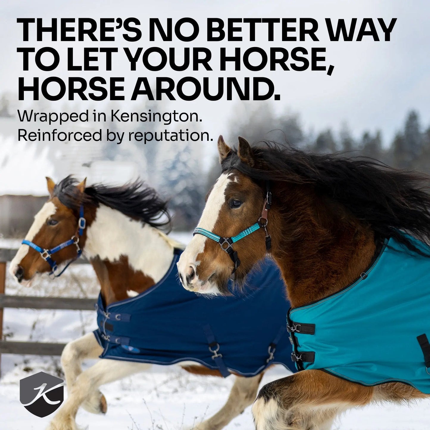 1200D Horse 180G Medium Weight Winter Neck Warmer - Waterproof & Breathable - Riders Choice Supply Co