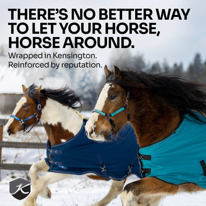 1200D Horse 180G Medium Weight Winter Neck Warmer - Waterproof & Breathable - Riders Choice Supply Co