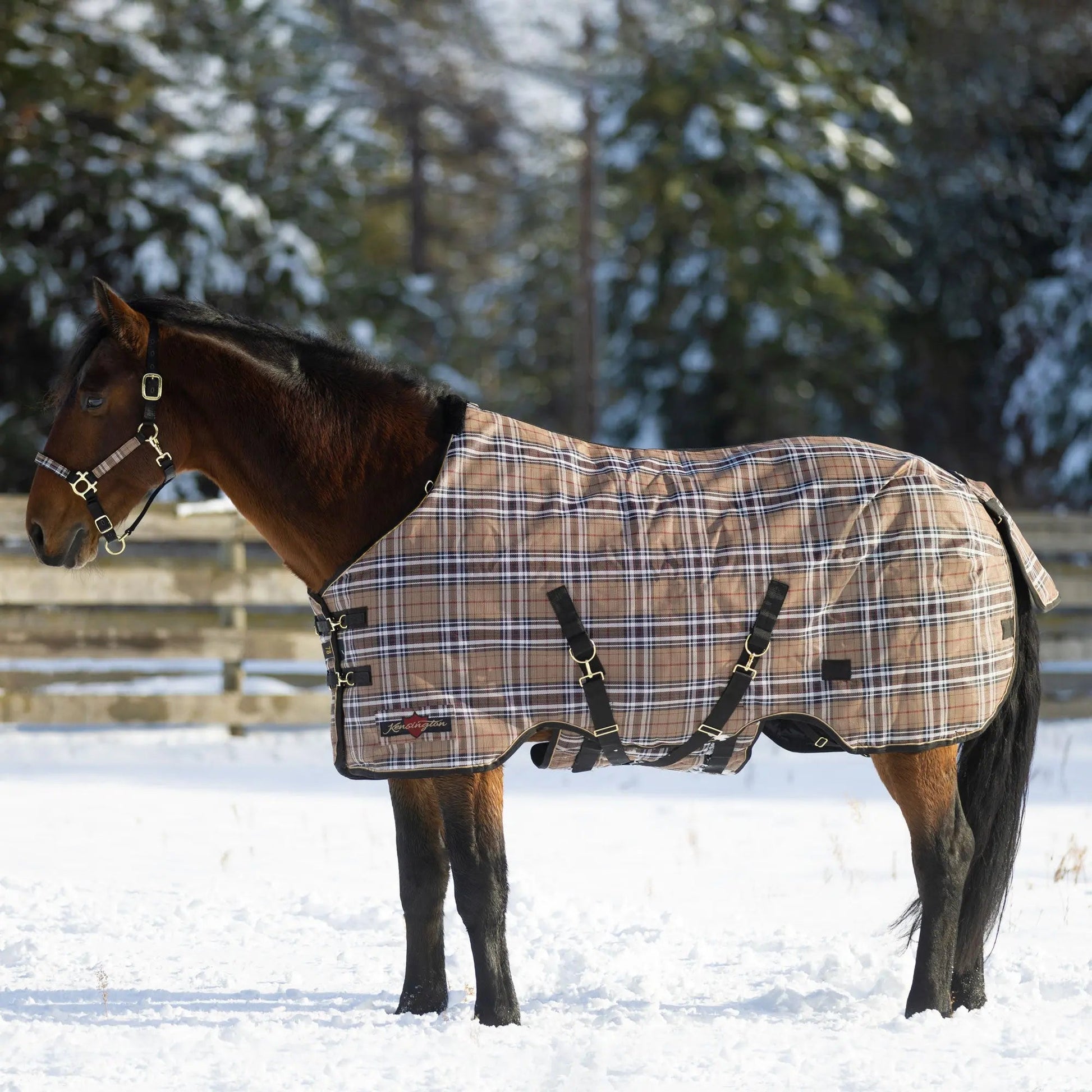 SuperMesh® Winter Turnout Blanket & Blanket Storage Bag - Riders Choice Supply Co