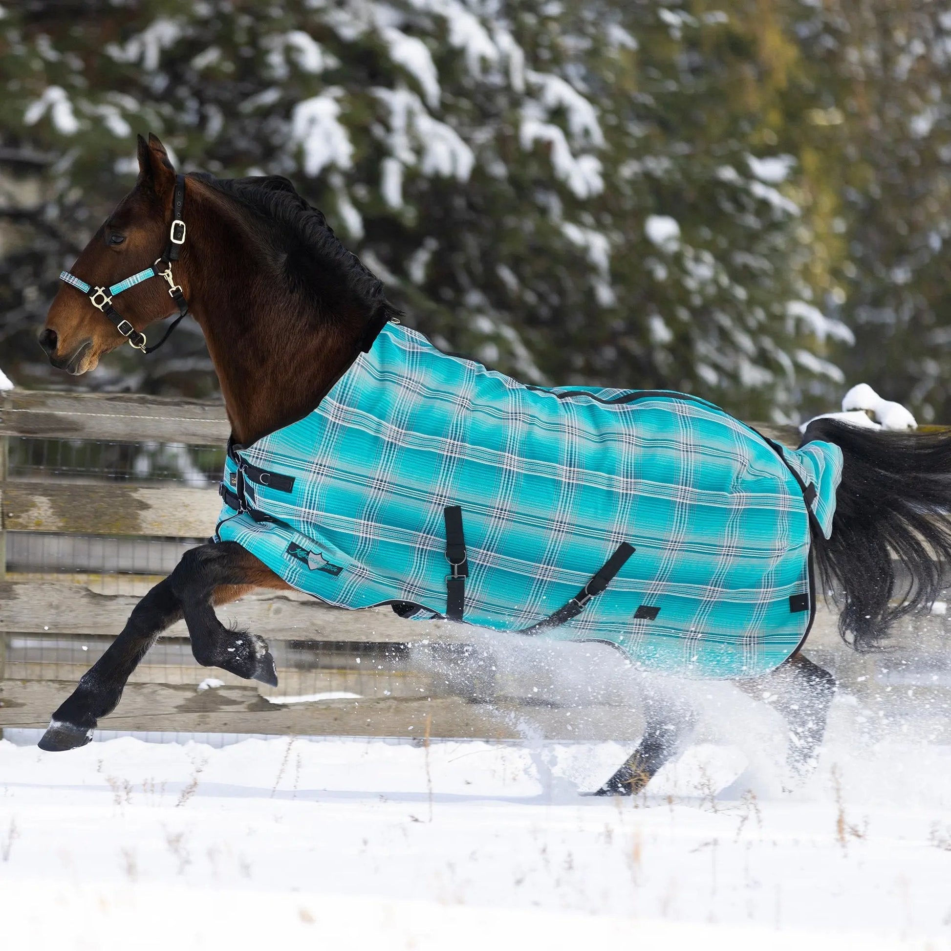 SuperMesh® Winter Turnout Blanket & Blanket Storage Bag - Riders Choice Supply Co