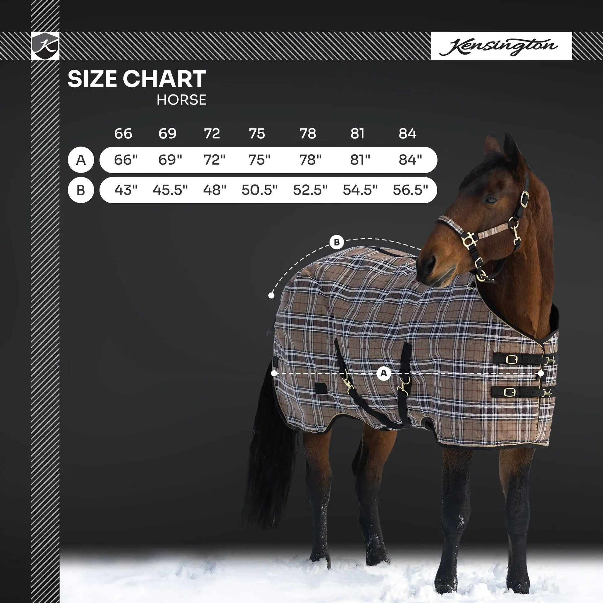 SuperMesh® Winter Turnout Blanket & Blanket Storage Bag - Riders Choice Supply Co