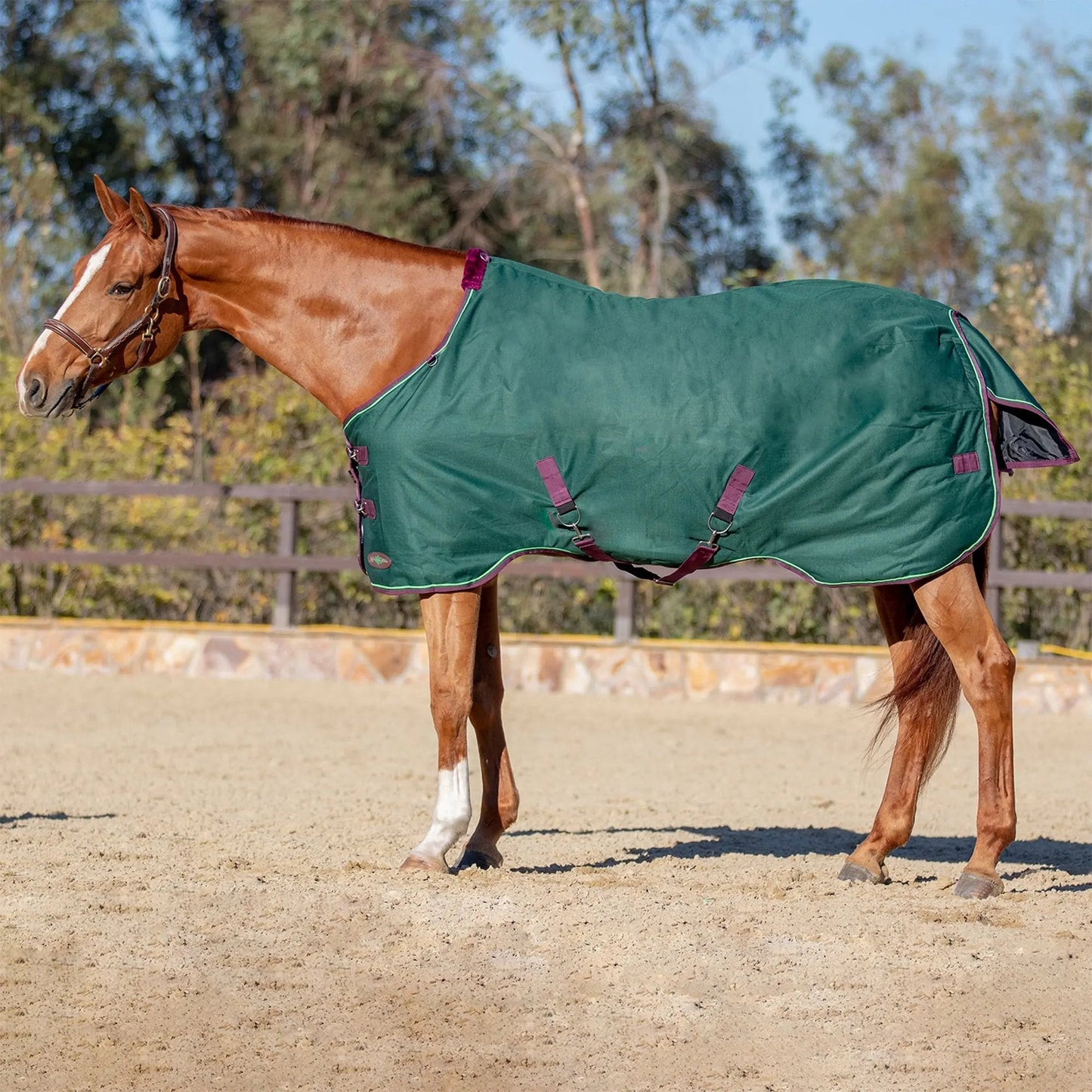 1200D Lightweight 80g Horse Winter Turnout Blanket - Waterproof & Breathable - Riders Choice Supply Co