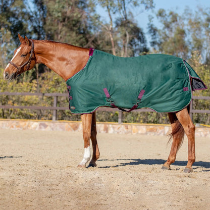 1200D Lightweight 80g Horse Winter Turnout Blanket - Waterproof & Breathable - Riders Choice Supply Co