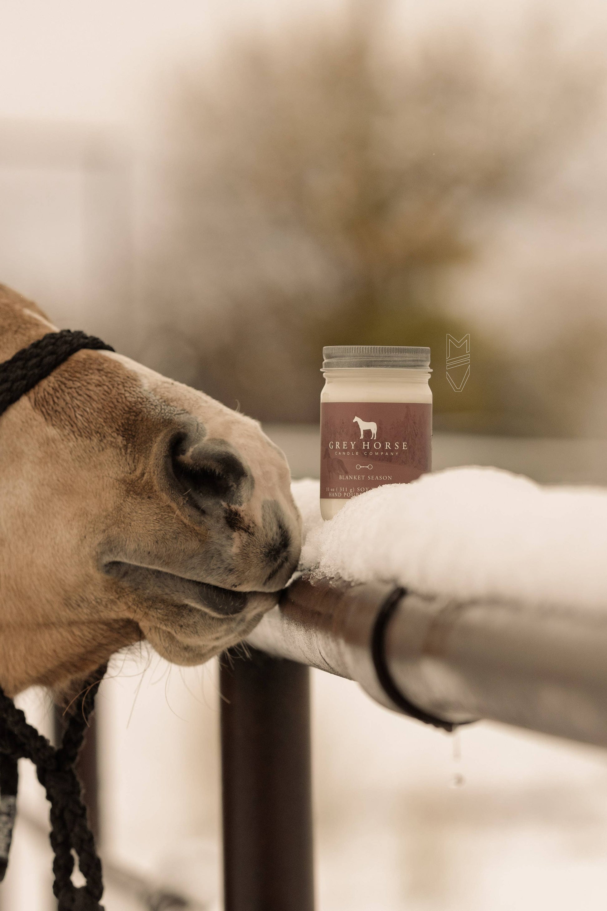 Blanket Season Soy Candle - Holiday Collection - Riders Choice Supply Co