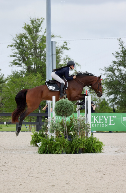 Jump Saddle Pad | Black - Riders Choice Supply Co