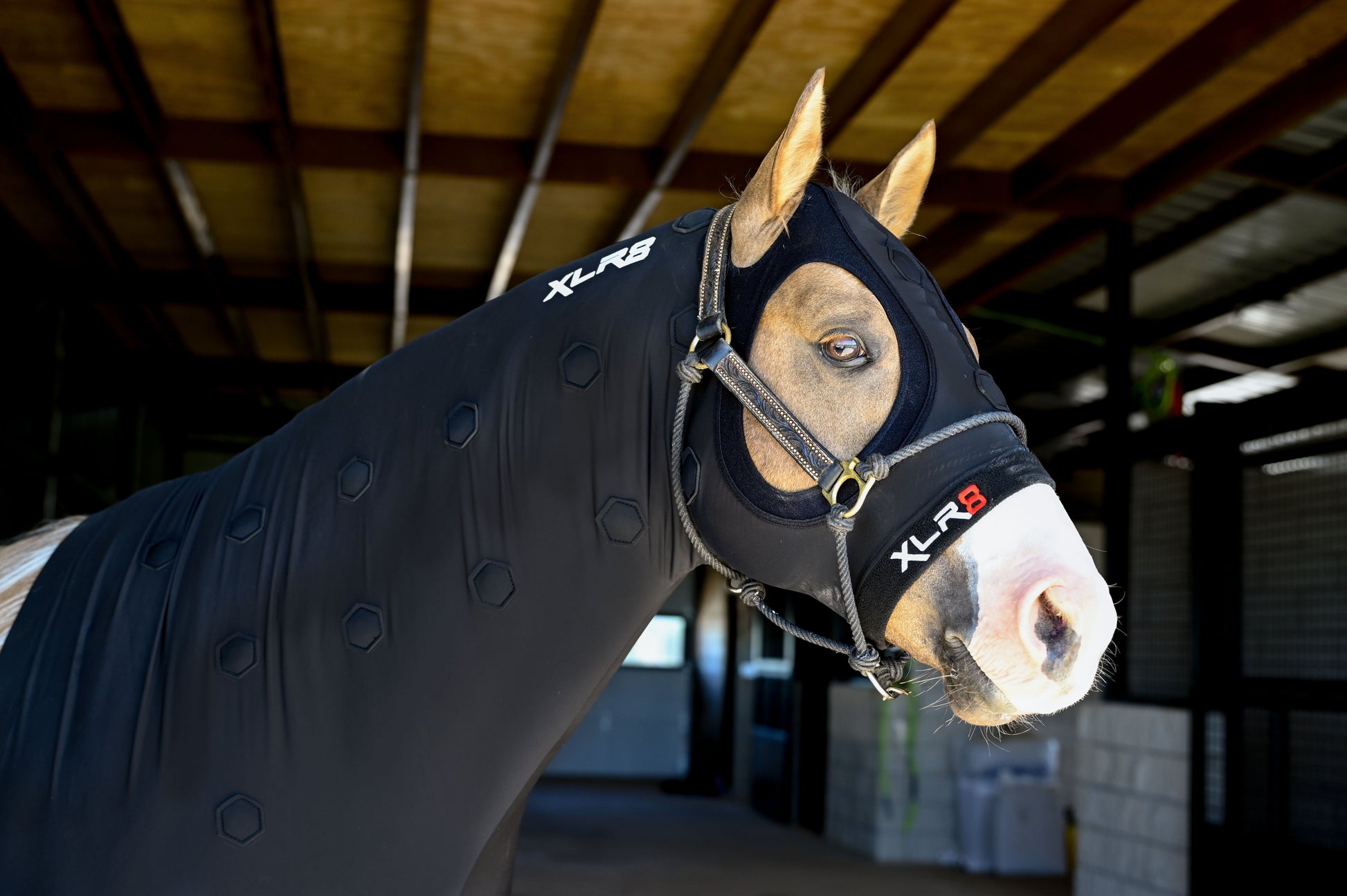 Velocity Hood - Riders Choice Supply Co