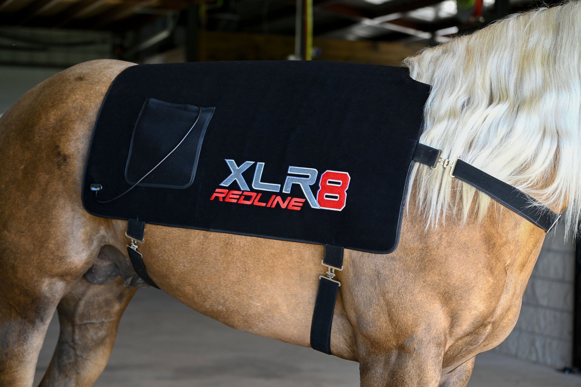 Redline Back Wrap - Riders Choice Supply Co