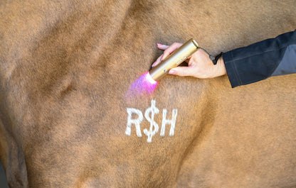 Ignite Handheld Therapy Light - Riders Choice Supply Co