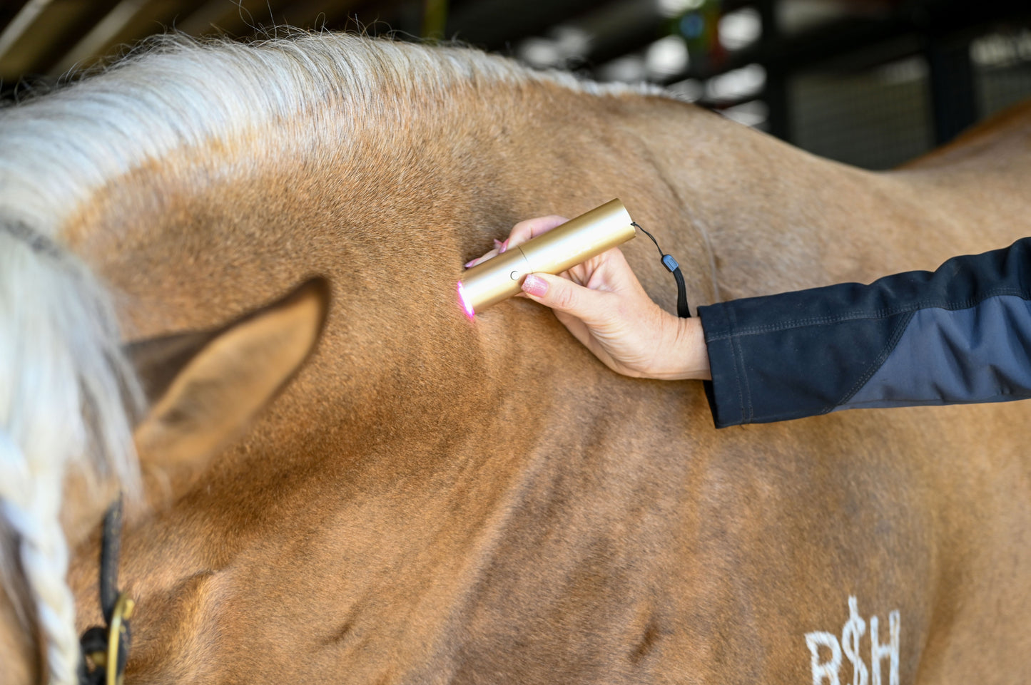 Ignite Handheld Therapy Light - Riders Choice Supply Co