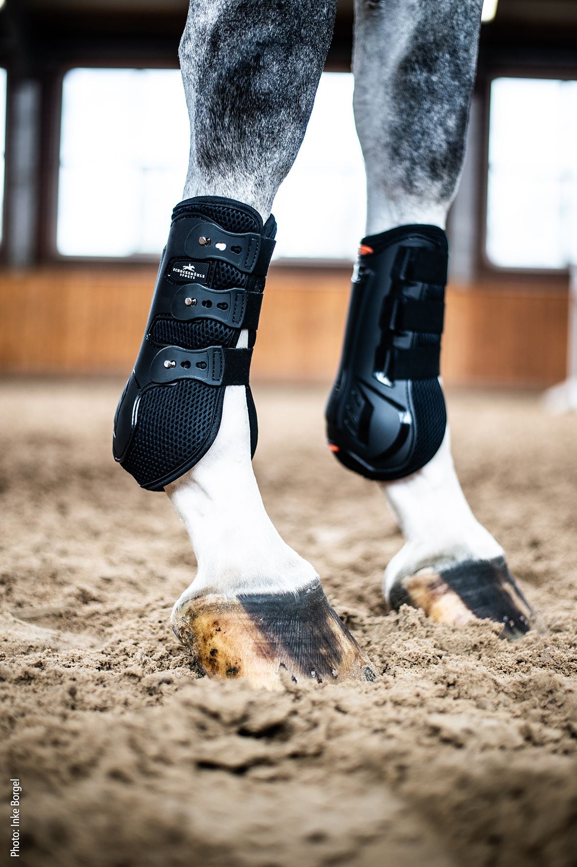 Schockemohle Sports Dressage Front Air Flow