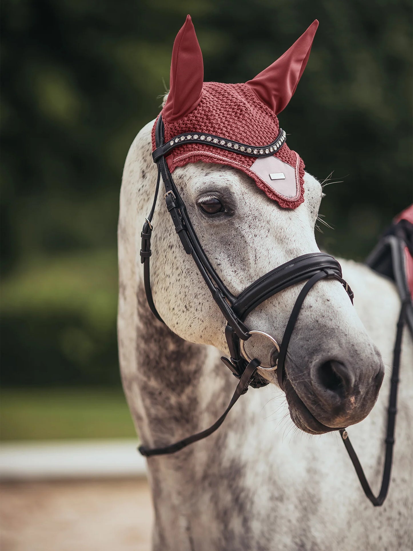 Equestrian Stockholm Ear Bonnet - Amber Rose - Riders Choice Supply Co
