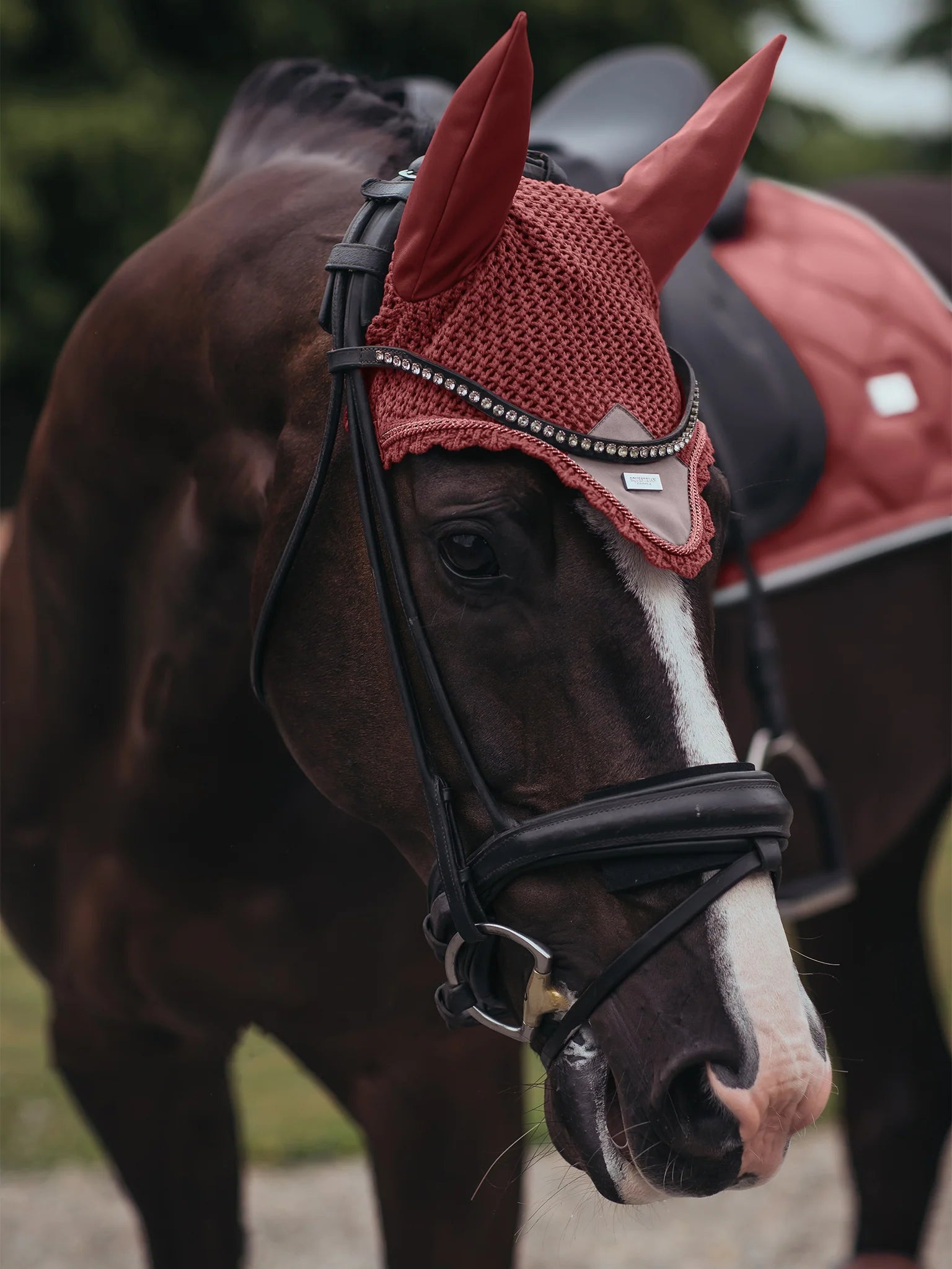 Equestrian Stockholm Ear Bonnet - Amber Rose - Riders Choice Supply Co