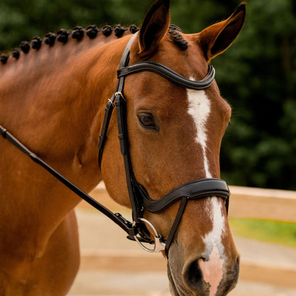 KL Select Red Barn Arena Bridle