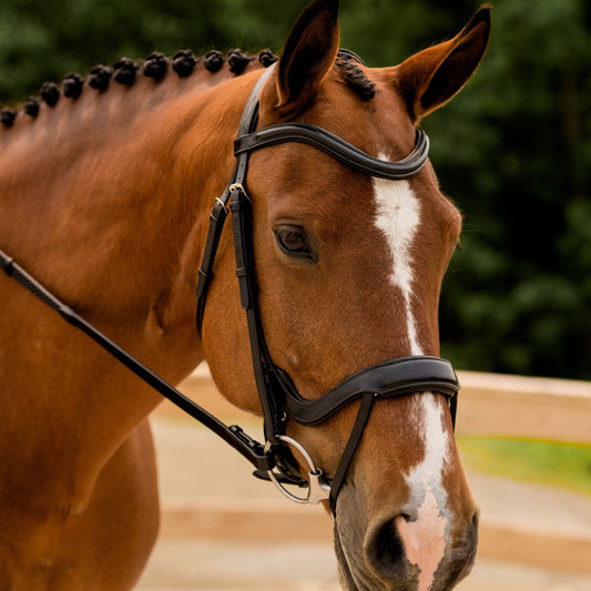 KL Select Red Barn Arena Bridle