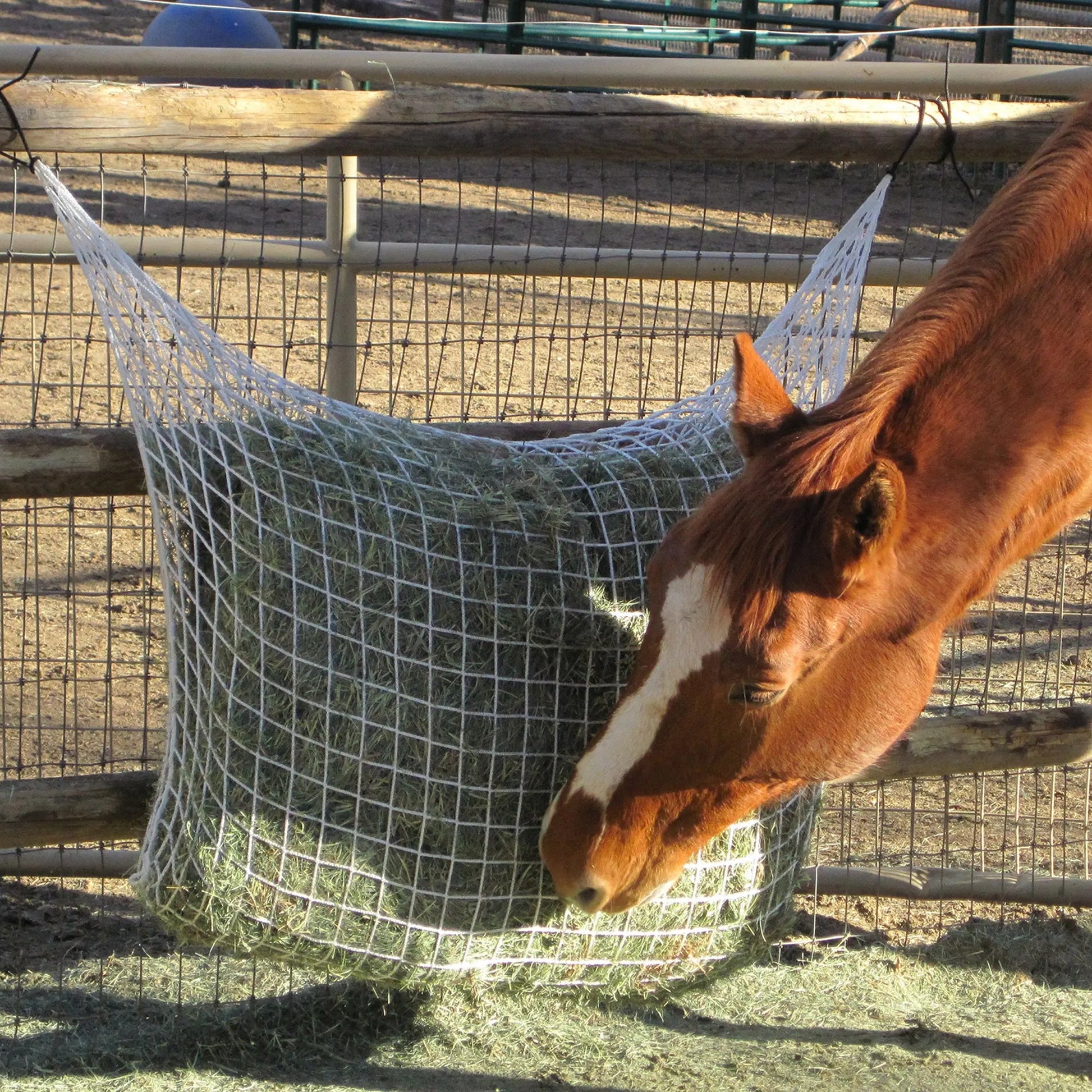 Freedom Feeder Extended Day Net - Slow Feed Hay Net - 2 String Bale - 3 Size Mesh Options - Riders Choice Supply Co