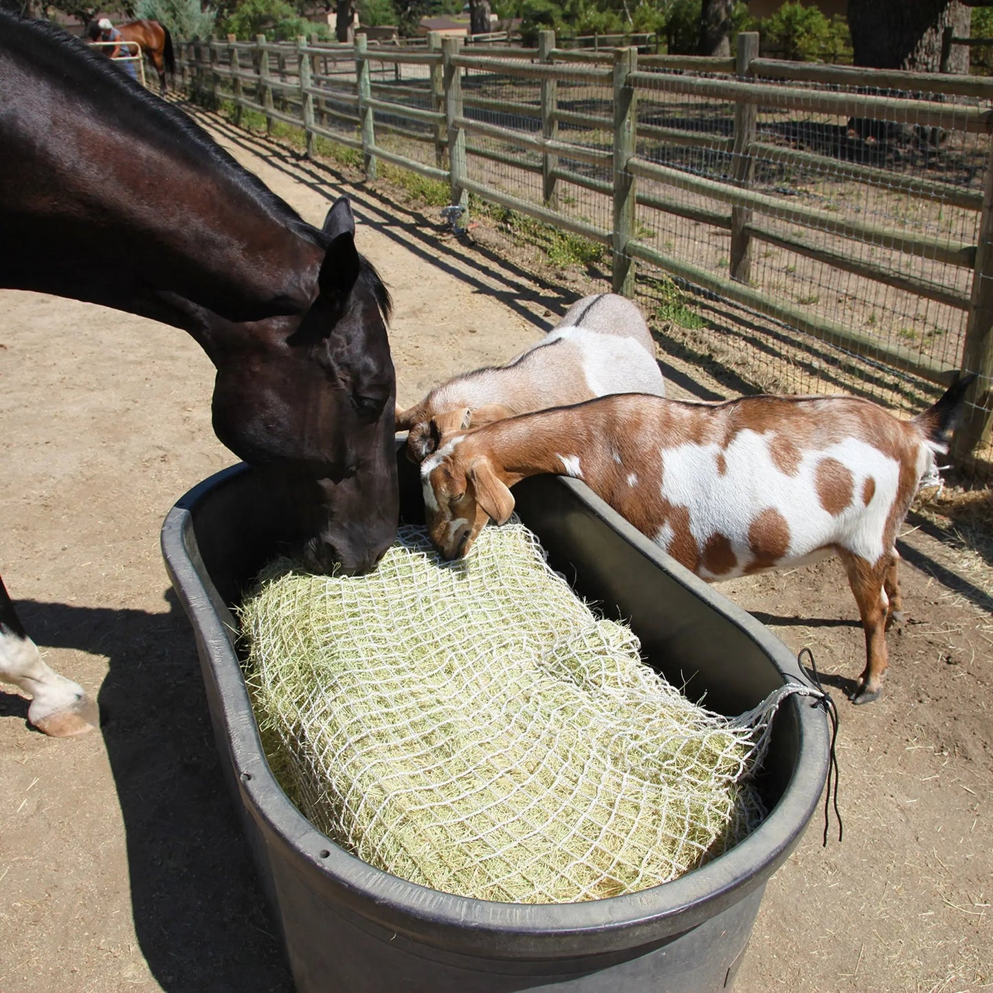 Freedom Feeder Full Bale Hay Net - Slow Feed Hay Net - 3 String Bale - 3 Size Mesh Options - Riders Choice Supply Co
