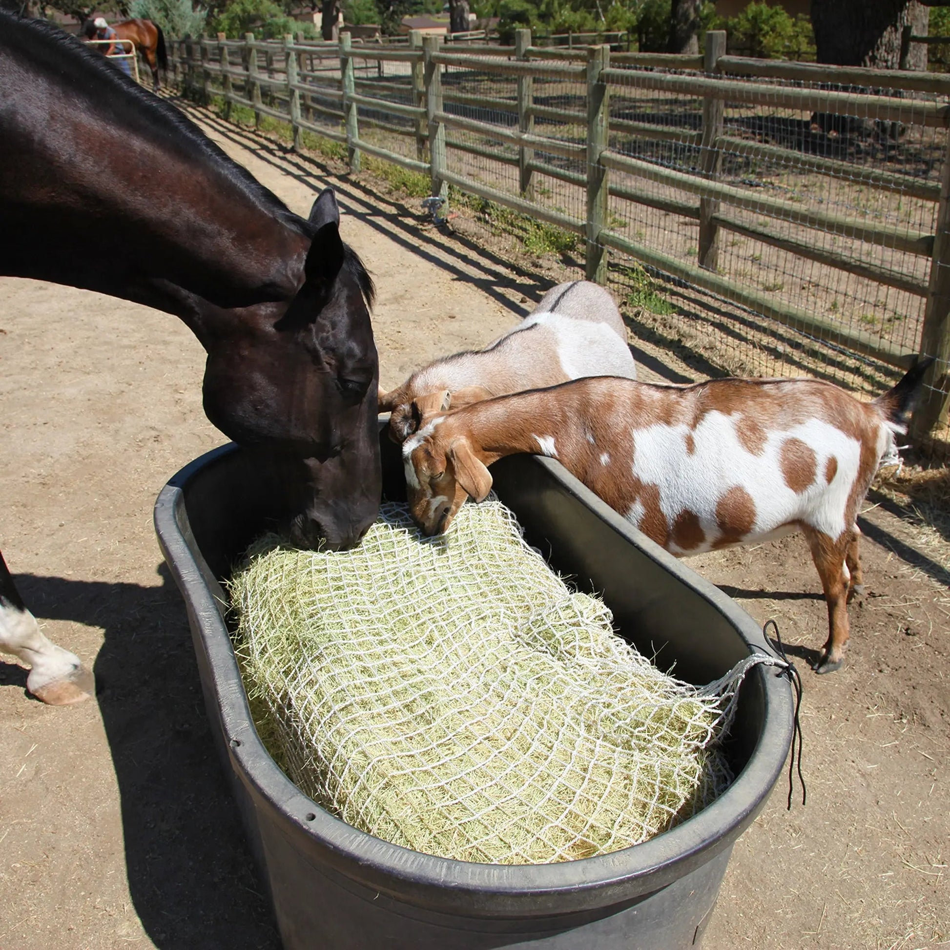 Freedom Feeder Full Bale Hay Net - Slow Feed Hay Net - 3 String Bale - 3 Size Mesh Options - Riders Choice Supply Co