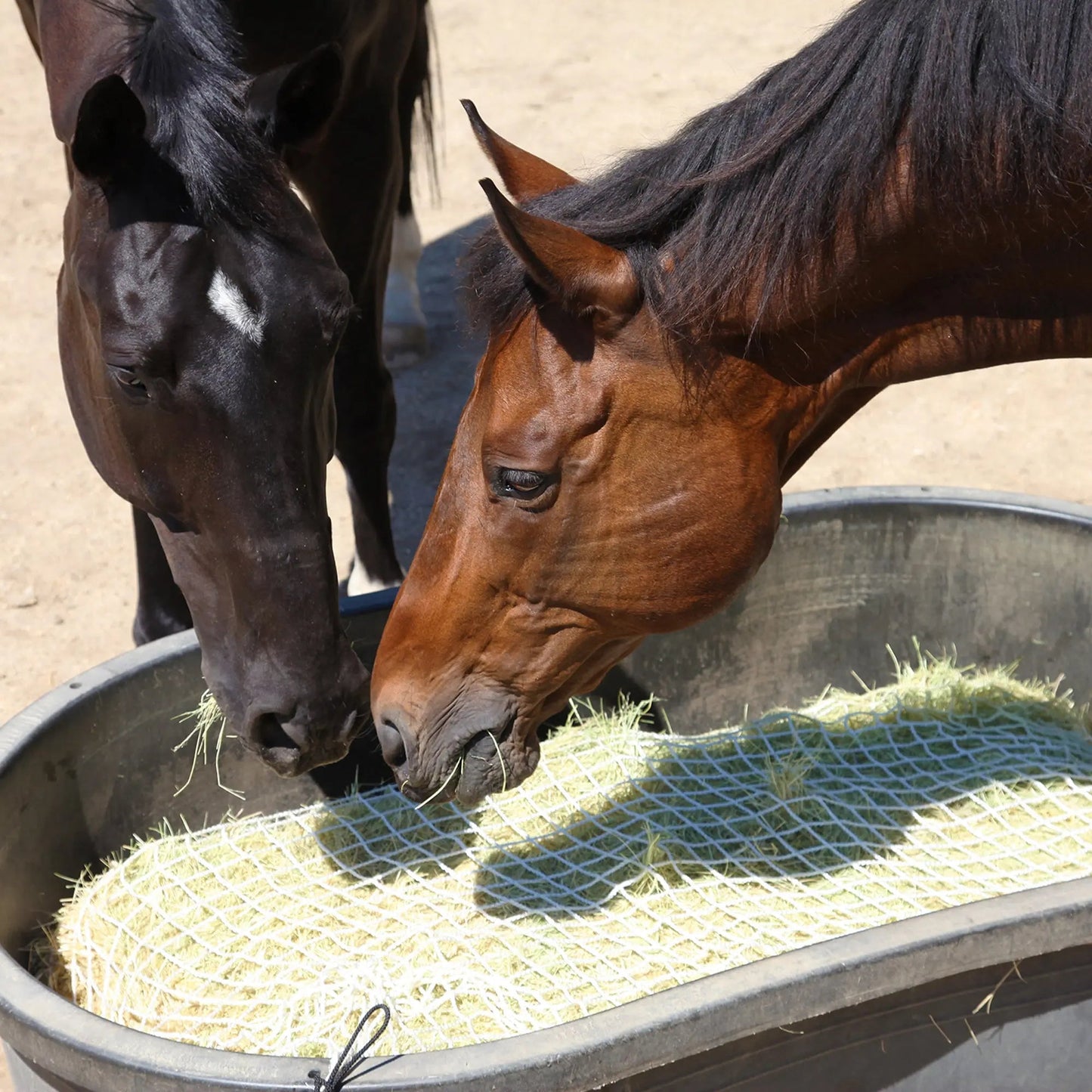 Freedom Feeder Full Bale Hay Net - Slow Feed Hay Net - 3 String Bale - 3 Size Mesh Options - Riders Choice Supply Co