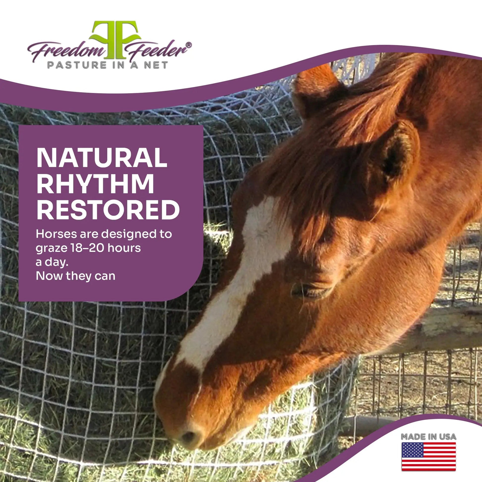 Freedom Feeder Day Net - Slow Feed Hay Net - 4 Flake - 3 Size Mesh Options - Riders Choice Supply Co
