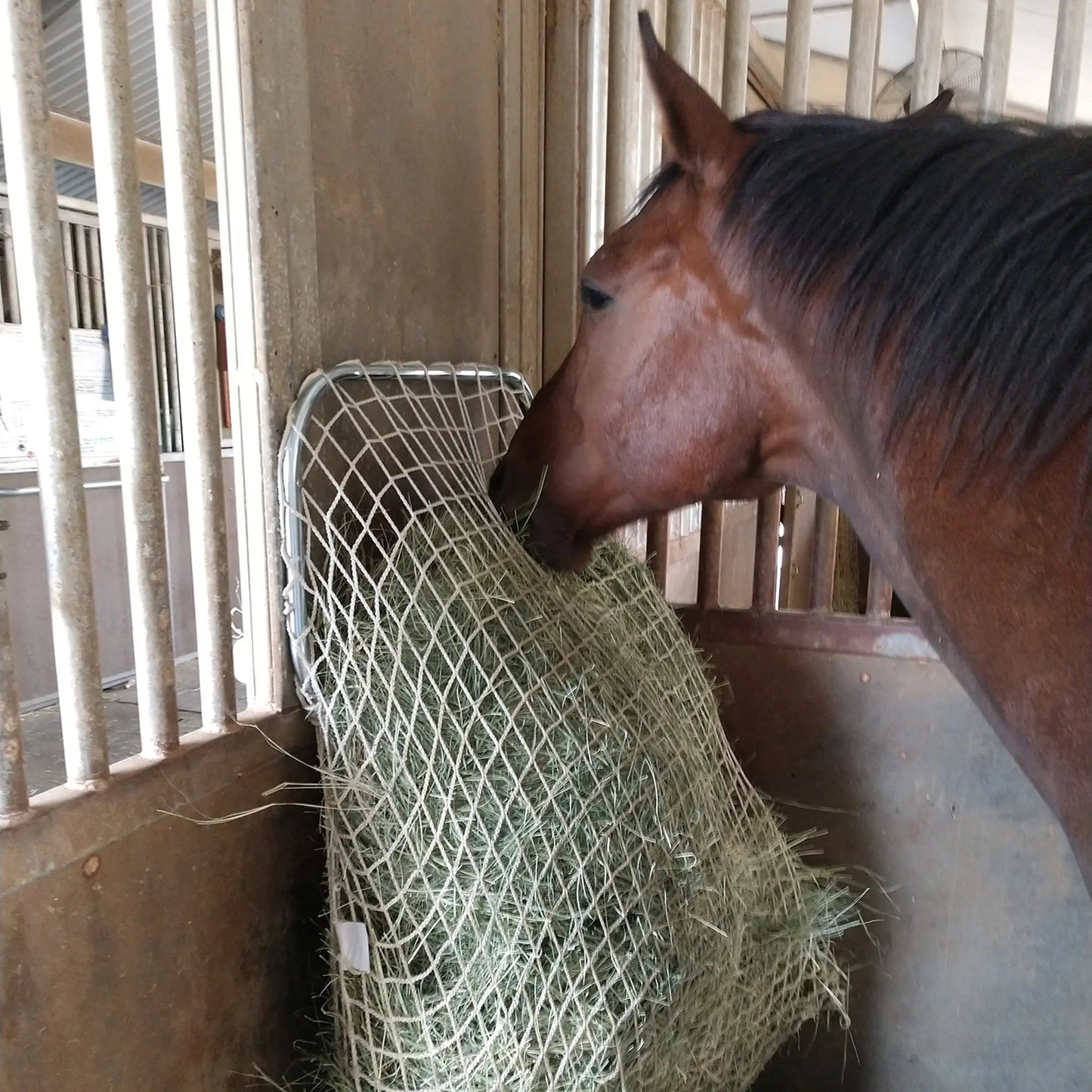 Freedom Feeder Frame - Slow Feed Hay Net Frame - Easy Slow Feed Solution - Riders Choice Supply Co