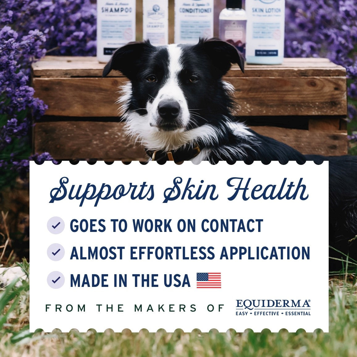 Barn Dog Skin Lotion - Riders Choice Supply Co