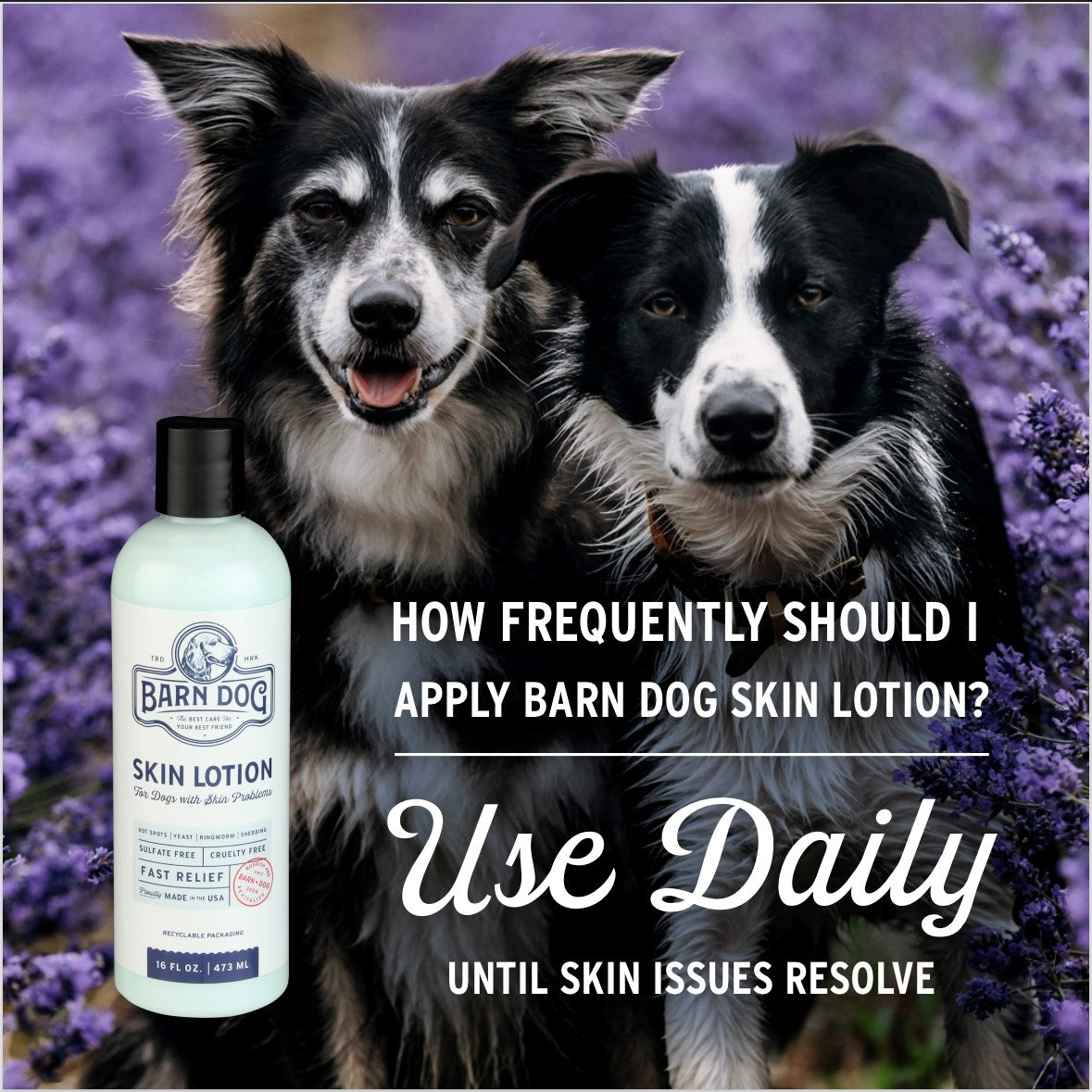 Barn Dog Skin Lotion - Riders Choice Supply Co