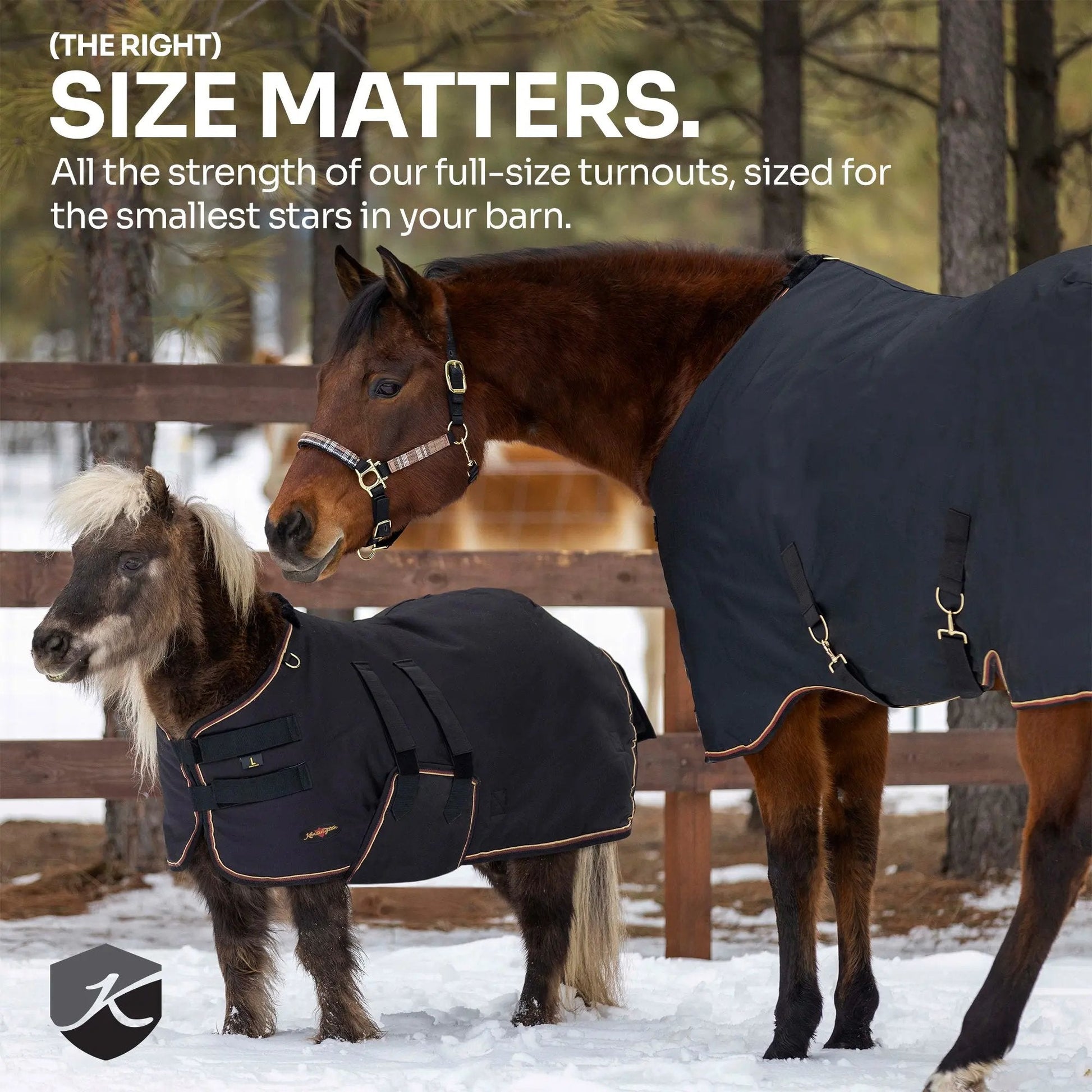 Mini 300G Heavy Weight Horse Winter Turnout Blanket - Waterproof & Breathable - Riders Choice Supply Co
