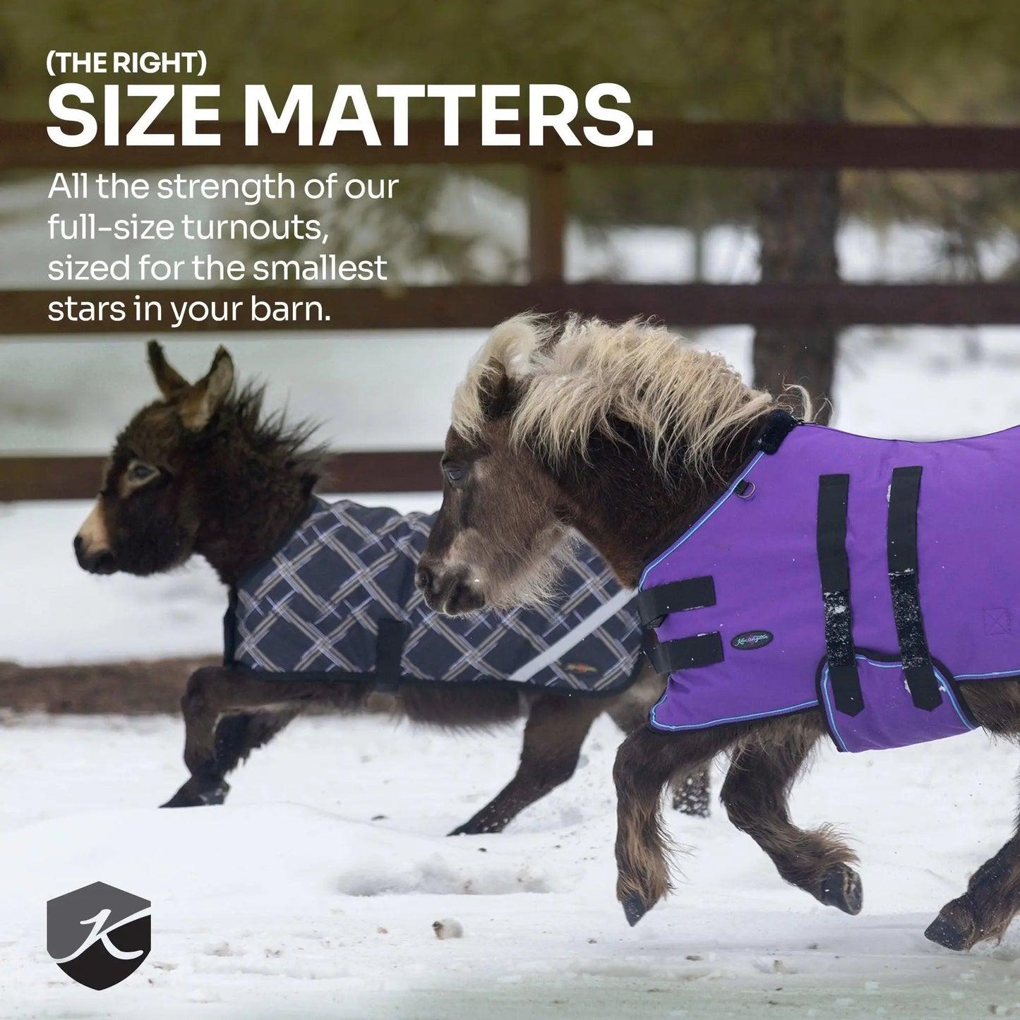 Mini 180G Medium Weight Horse Winter Turnout Blanket - Waterproof & Breathable - Riders Choice Supply Co