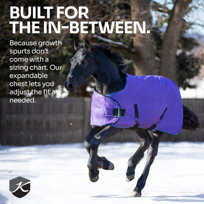 1200D Adjustable Juvenile 180G Medium Weight Winter Turnout Blanket - Waterproof & Breathable - Riders Choice Supply Co