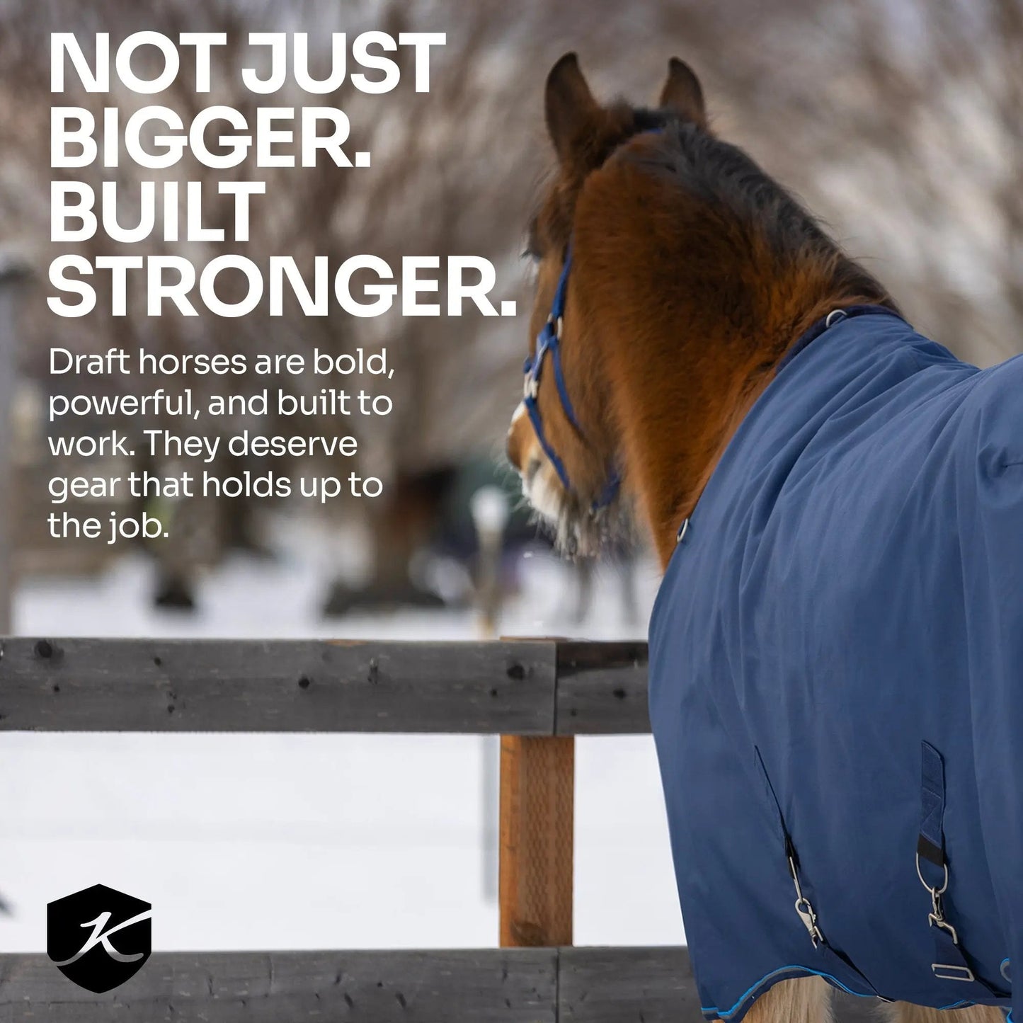 Draft Horse Midweight 180g Winter Turnout Blanket - Waterproof & Breathable - Riders Choice Supply Co