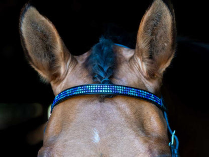 Blue Chevron Browband