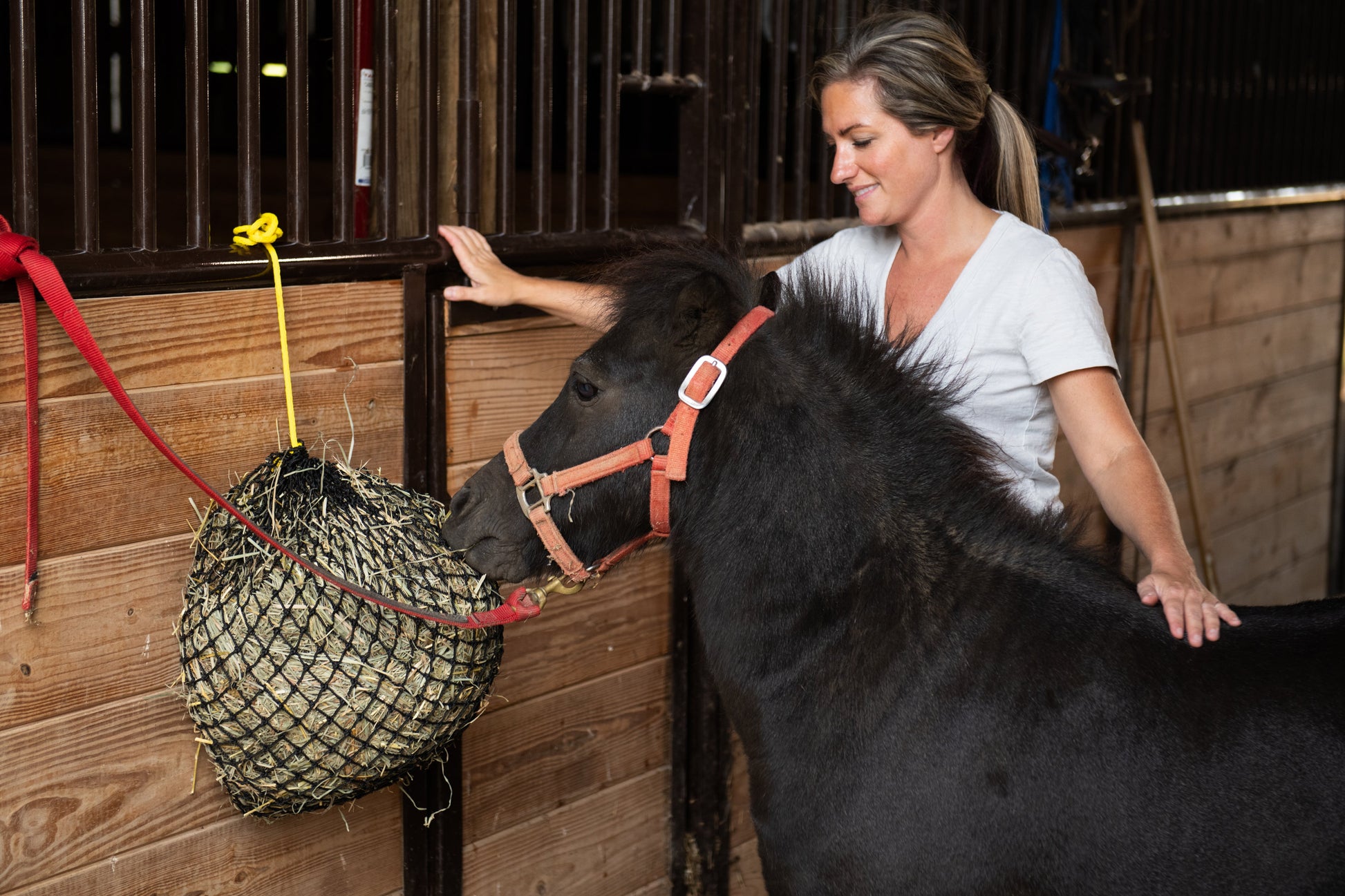 Xtra Small Hay Net - Riders Choice Supply Co