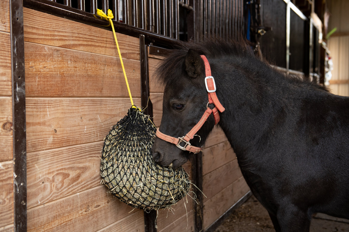 Xtra Small Hay Net - Riders Choice Supply Co