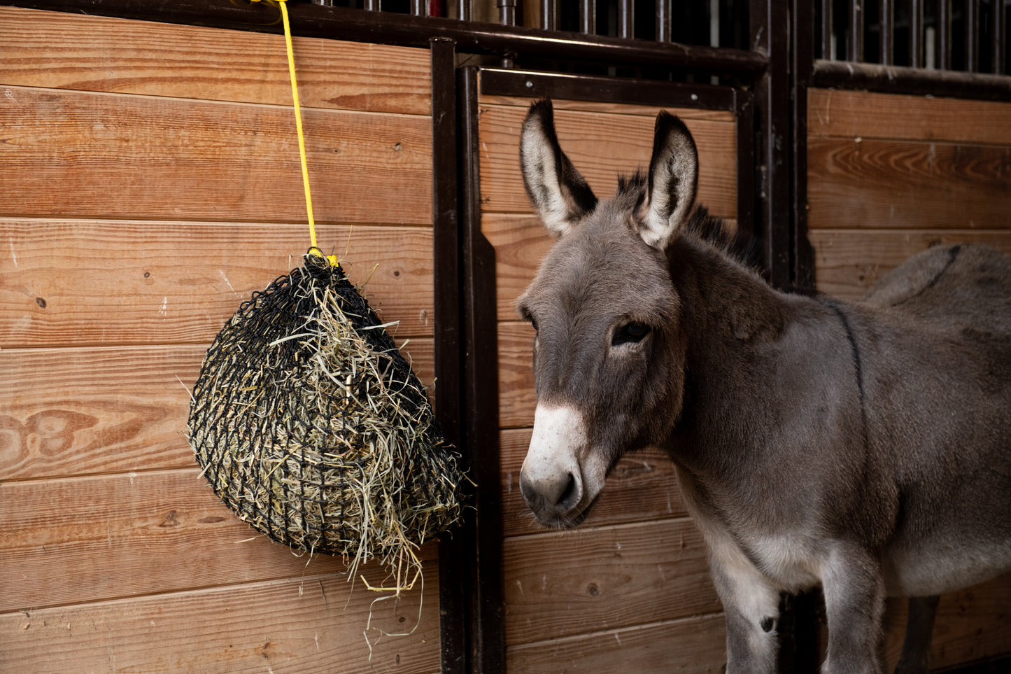 Xtra Small Hay Net - Riders Choice Supply Co