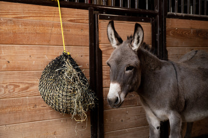 Xtra Small Hay Net - Riders Choice Supply Co
