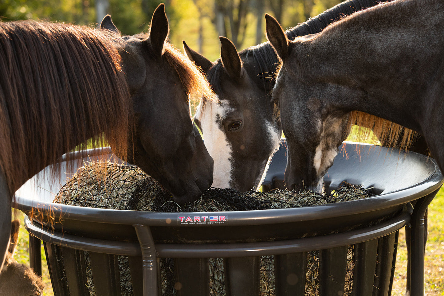 Hay Net for Tarter Equine Hay Basket (Basket Sold Separately) - Riders Choice Supply Co