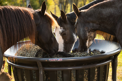 Hay Net for Tarter Equine Hay Basket (Basket Sold Separately) - Riders Choice Supply Co