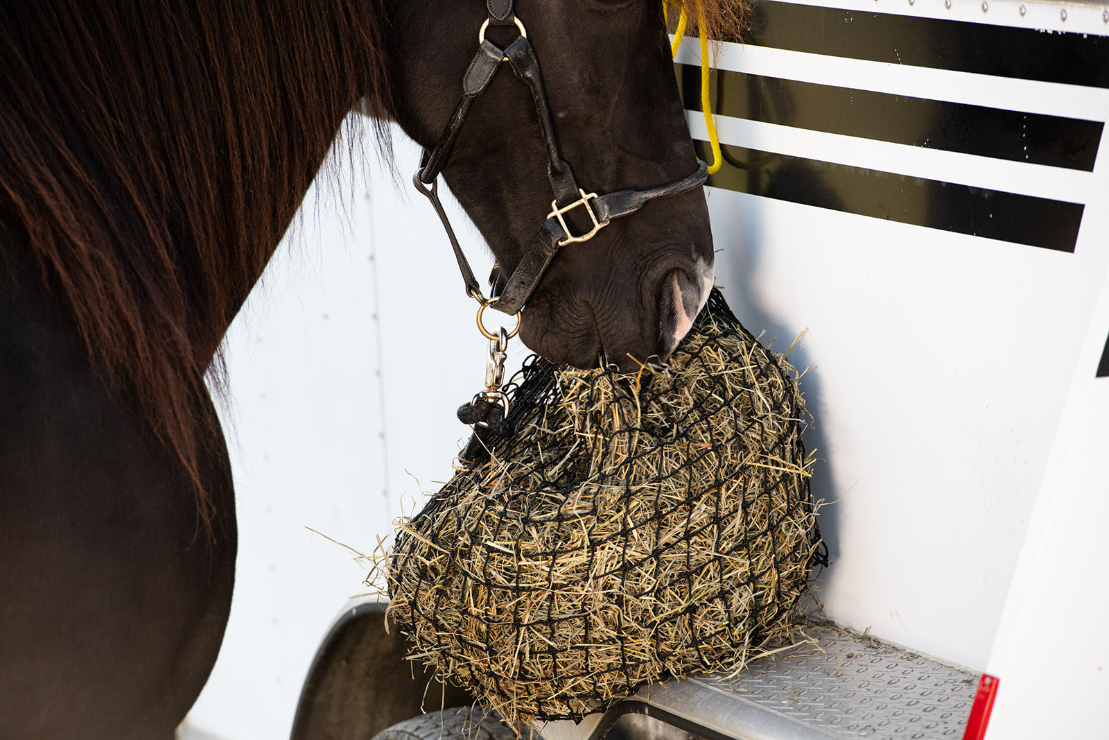 Small Hay Net - Riders Choice Supply Co