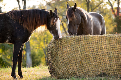 Large Square Bale Hay Net - Riders Choice Supply Co