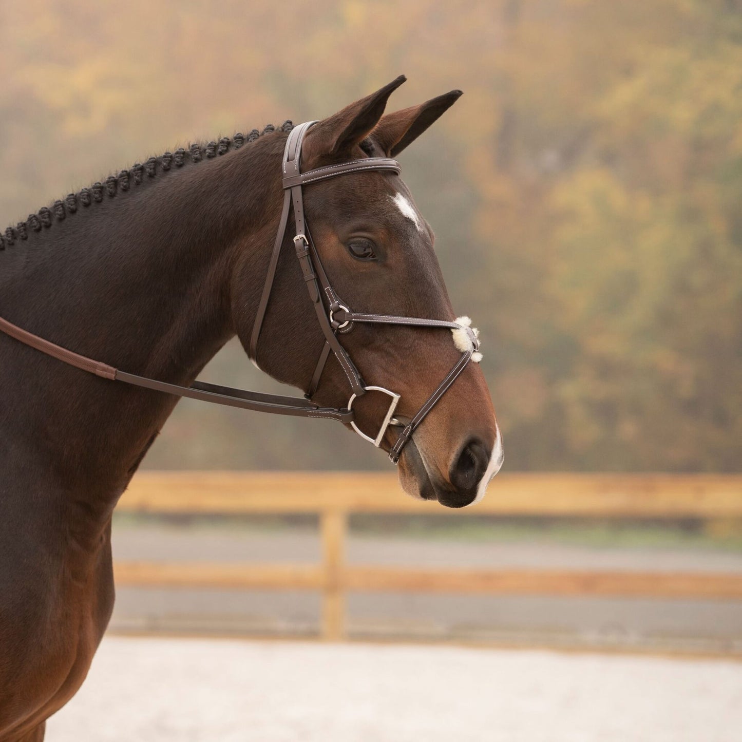 KL Select Black Oak Cedar Bridle