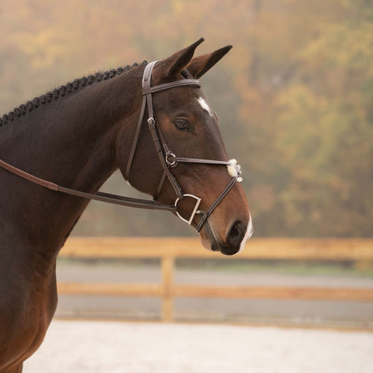 KL Select Black Oak Cedar Bridle