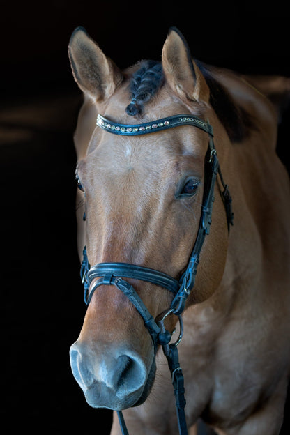 Champagne Chain Browband